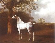 Jacques-Laurent Agasse White Horse in Pasture Sweden oil painting artist